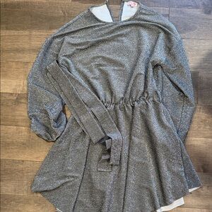 Gray Long-Sleeve glittery Dress